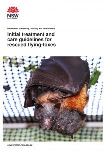 Cover of Initial treatment and care guidelines for rescued flying foxes